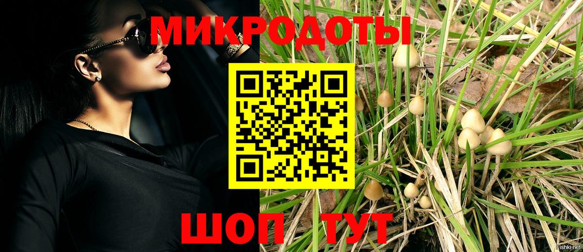Псилоцибиновые грибы GOLDEN TEACHER Хасавюрт